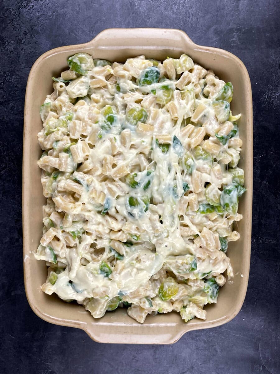 cheesy sauce poured on top.